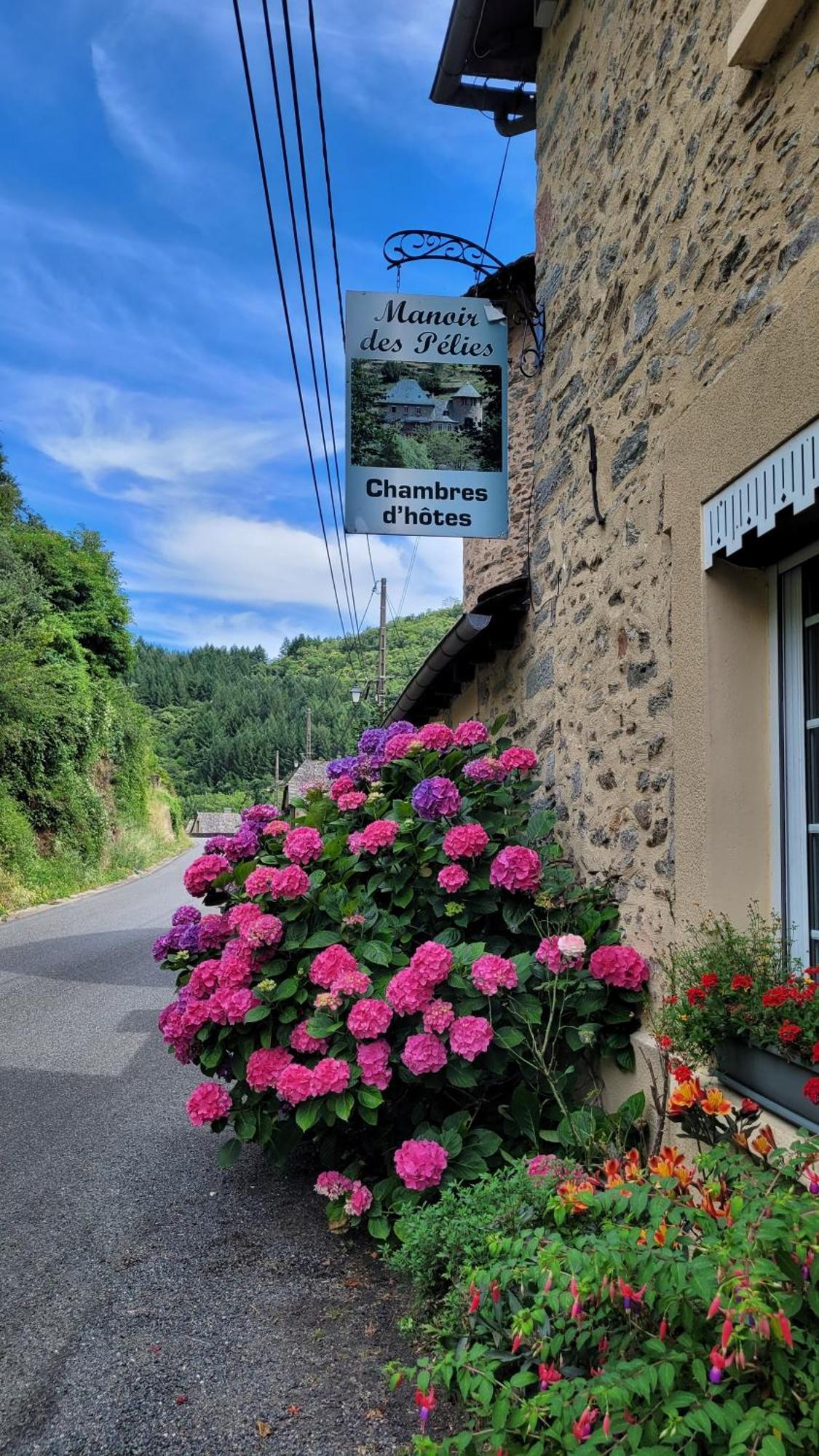 Manoir Des Pelies Spa Conques Exteriér fotografie